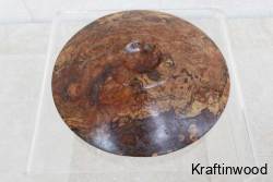 australian-goldfield-burr