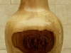fraxinus-excelsior-ash
