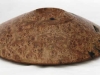 atinian-elm-elm-burr