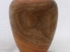 1128australian-eucalyptus-gum-tree