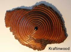 1131australian-goldfield-burr