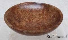 1132atinian-elm-elm-burr