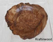 1133atinian-elm-elm-burr
