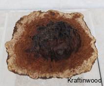 1135australian-red-mallee