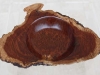 1136coolibah-burr