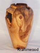 1140platanus-x-hispanica-london-plane