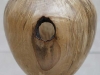 1138fagus-sylvatica-spalted-beech