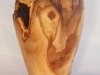 1140platanus-x-hispanica-london-plane