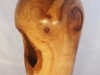 1141platanus-x-hispanica-london-plane