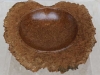 1153australian-brown-mallee-burr